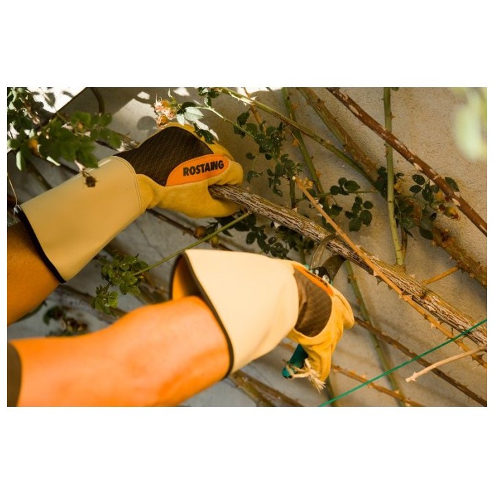 Gants PRO gros épineux long T10