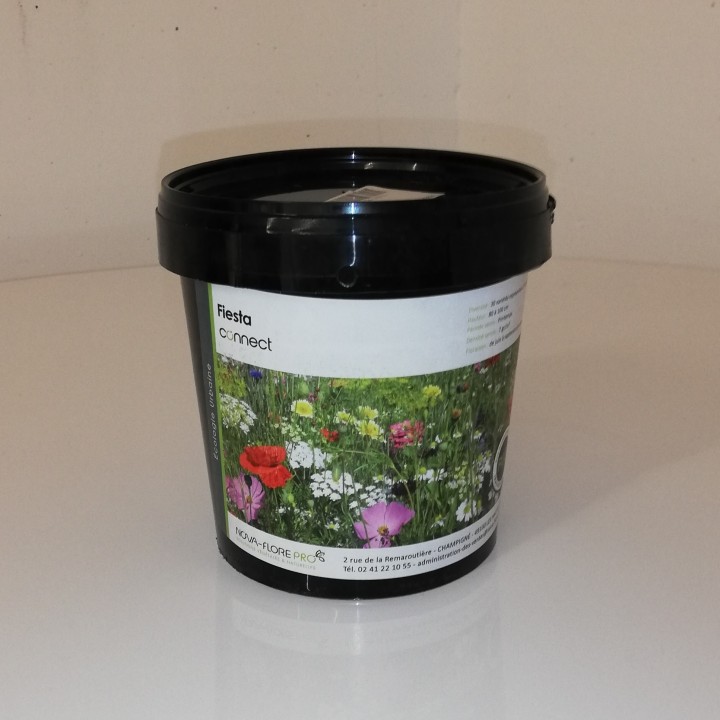 Semences Prairie Fleurie Fiesta pour 35m2, annuelle