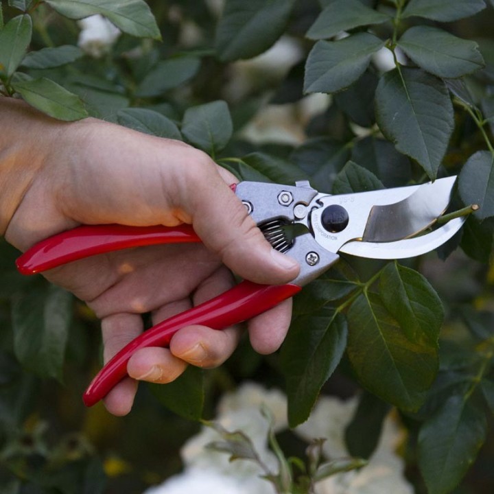 Sécateur Pro ARS VS8Z 20cm rouge gris