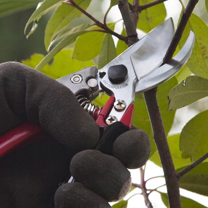 Sécateur Pro ARS VS7R 18cm rouge gris PT