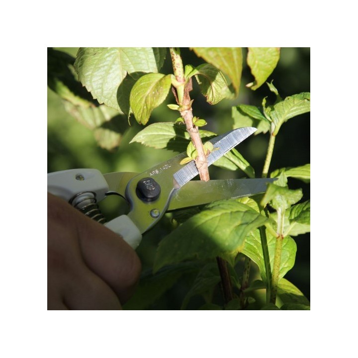 Sécateur Pro ARS 140L-DX 20cm