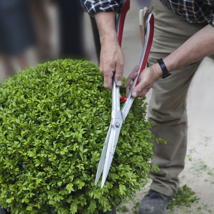 Cisaille ARS à haie droite 653mm