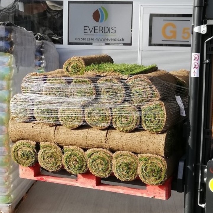 Gazon en rouleau classique agrément le m2