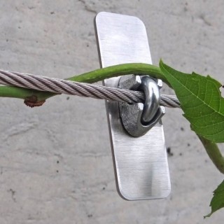 Soutient plante en inox (sachet de 10)