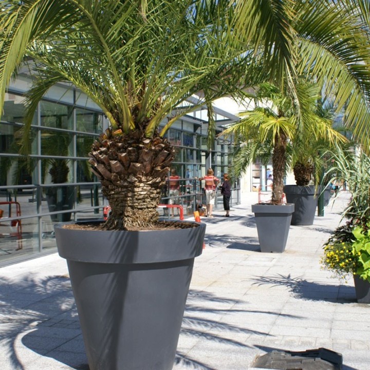 Pot Rond Décoratif de Ø 600mm à 1600mm