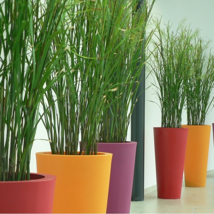 Pot Désign de Ø 400mm à 800mm