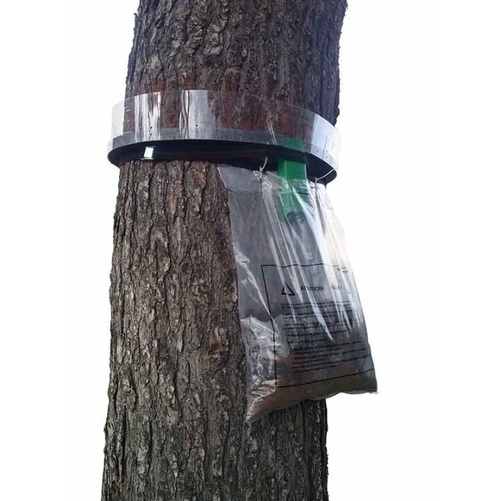 Piège collier pour chenille processionnaire du pin