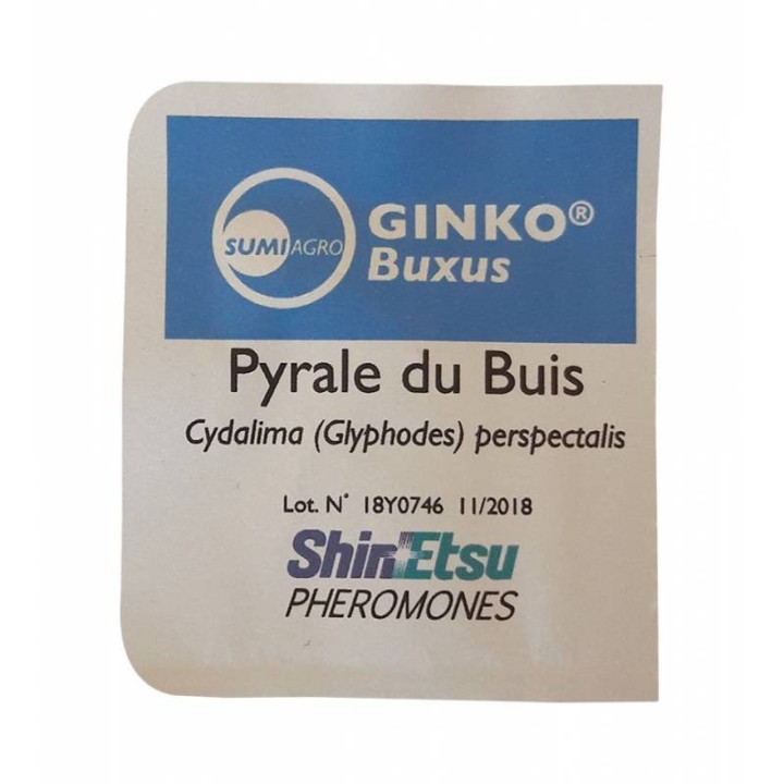 Piège pyrale du buis + 1 phéromone