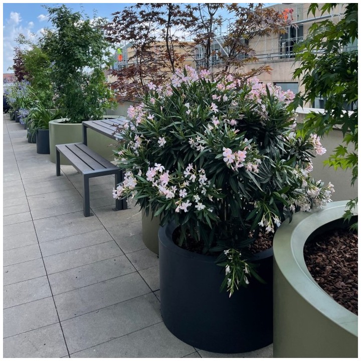 Pot Rodéo de Ø 600mm à 1800mm