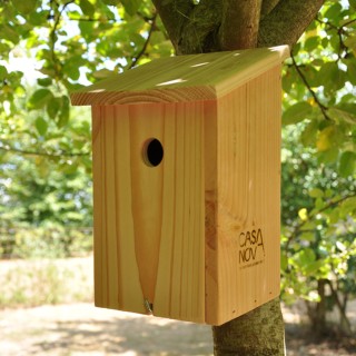 Nichoir à Mésanges charbonnières