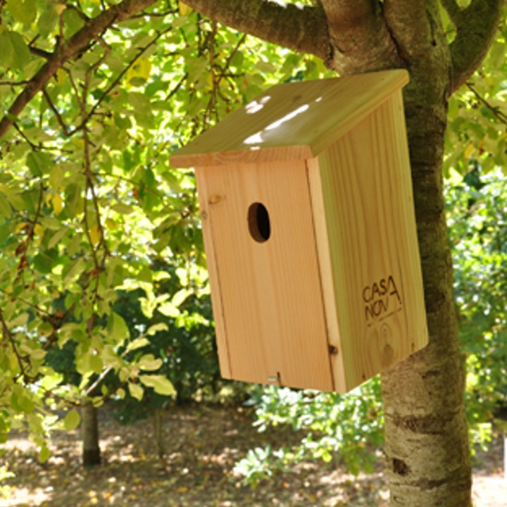 Nichoir à Rouges-queues, moineaux