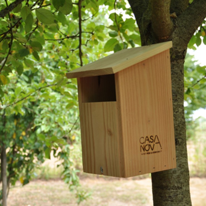 Nichoir à Rouge-gorges et bergeronettes