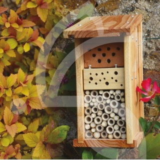Gîte à pollinisateurs I.310