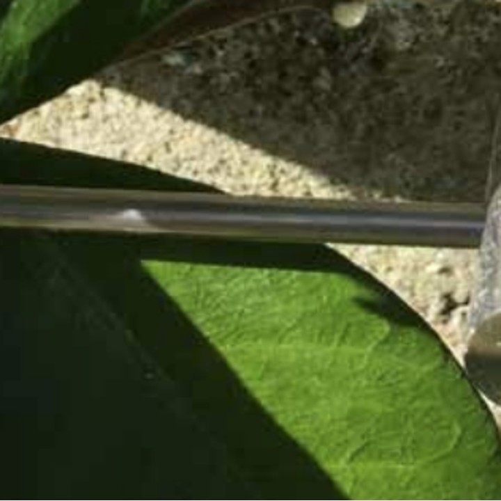 Tige Végé'nox 1.5ml