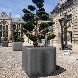 Bac d'orangerie Ora