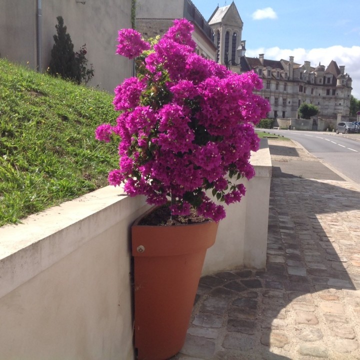 Demi Pot rond Décoratif