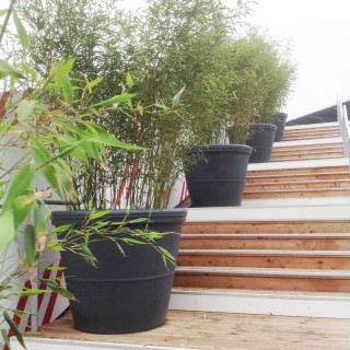 Pot Rond Lisse de Ø 430mm à 1100mm