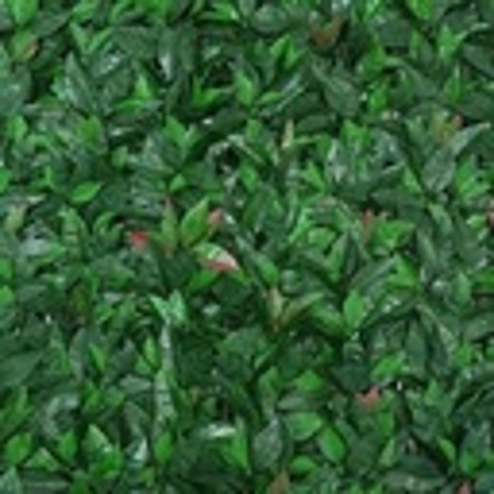 Haie synthétique Photinia 1m x 1m