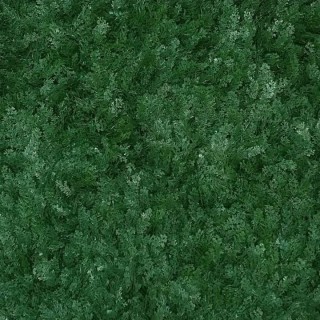 Haie synthétique Cyprès 1m x 1m