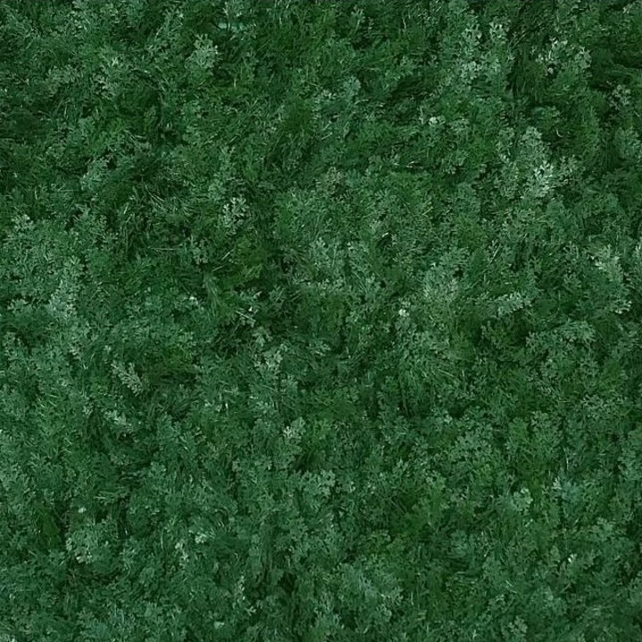 Haie synthétique Cyprès 1m x 1m