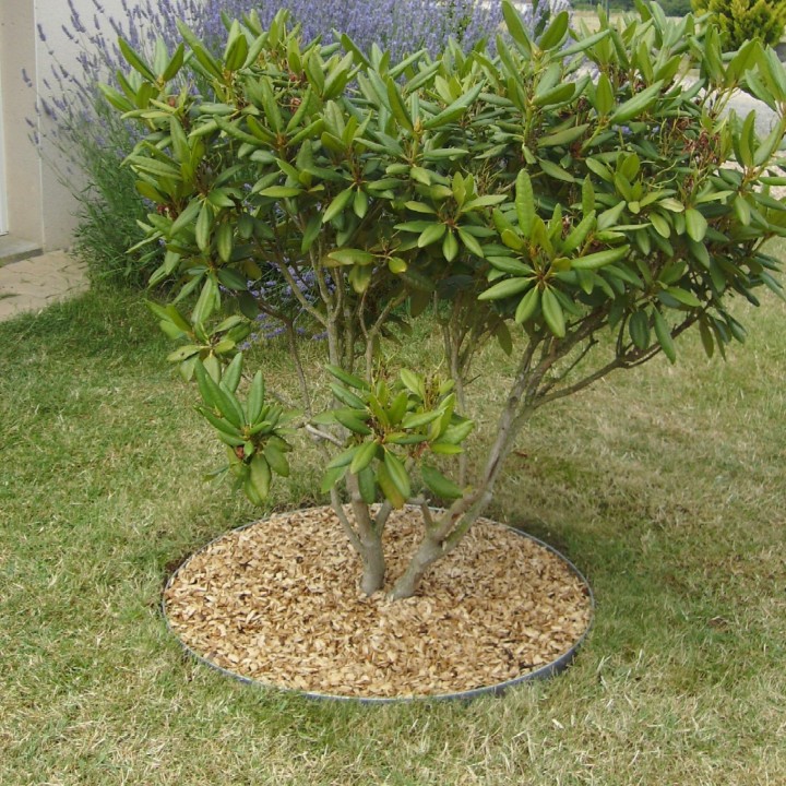 Entourage d'arbre rond acier galvanisé