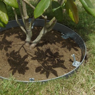 Entourage d'arbre rond acier galvanisé