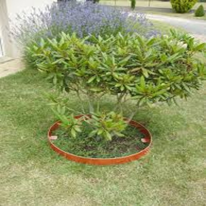 Entourage d'arbre rond Corten