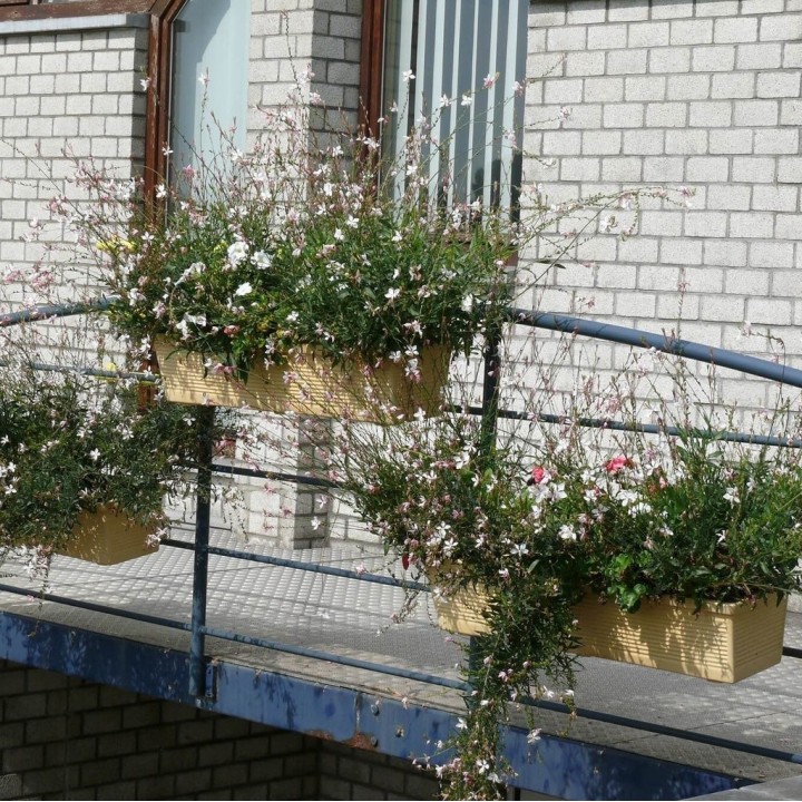 Balconnière Suspendu