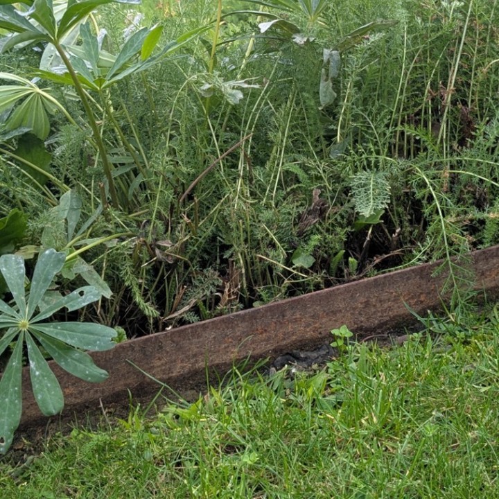 Volige Classic en acier brut en 2ml