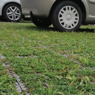 Semences Prairie Fleurie Bio Couv' Voirie verte en 1 kg