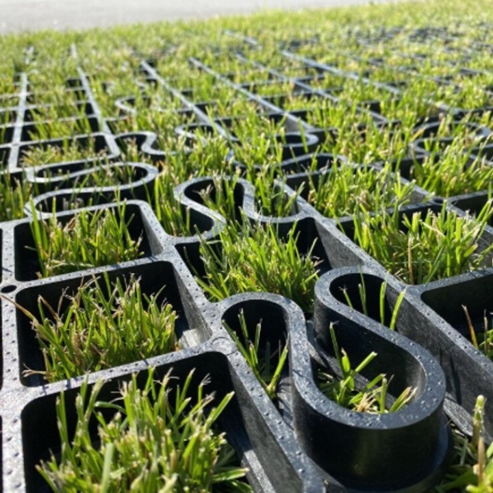 Semences Microflora Genève Myko sac de 2.5kg pour 125m2