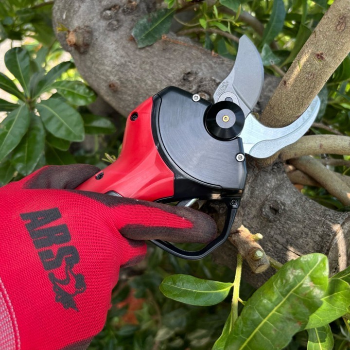 Sécateur électrique Pro ARS EP-721