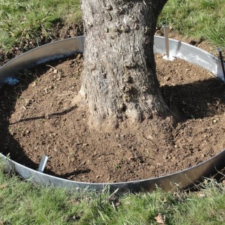 Entourage de d'arbre en cercle d'acier galva