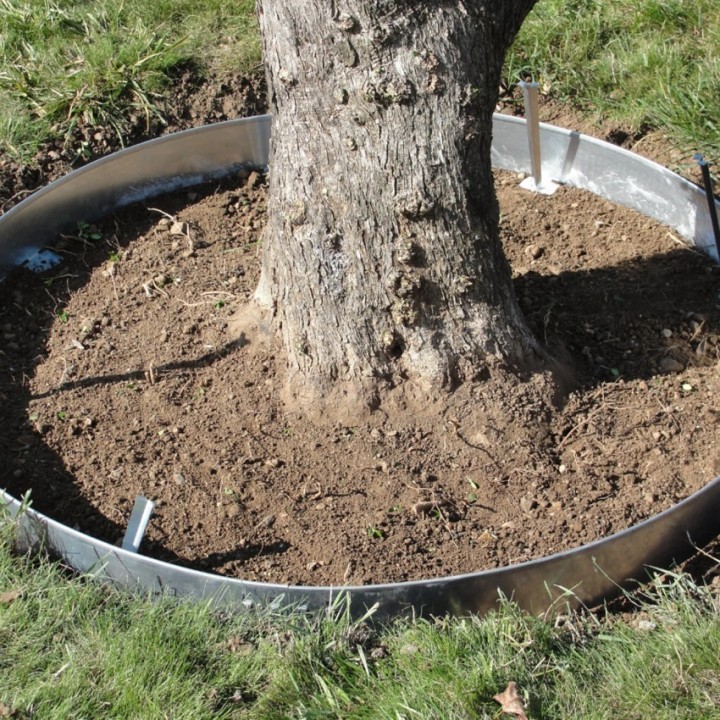 Entourage de d'arbre en cercle d'acier galva