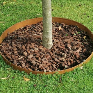 Entourage d'arbre en acier corten