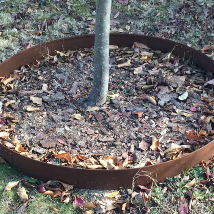 Entourage d'arbre en acier corten